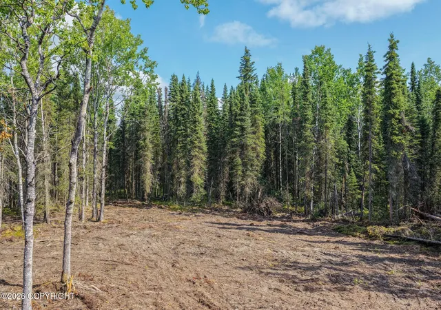 Photo 2 of Land for sale at 50222 Byington Rd, Kasilof, AK 99610 | MLS# 26-11121 | Listing updated on 2026-08-31