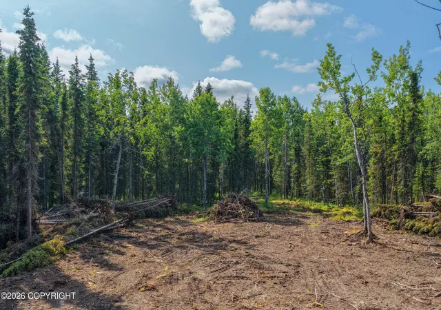 Photo 4 of Land for sale at 50222 Byington Rd, Kasilof, AK 99610 | MLS# 26-11121 | Listing updated on 2026-08-31