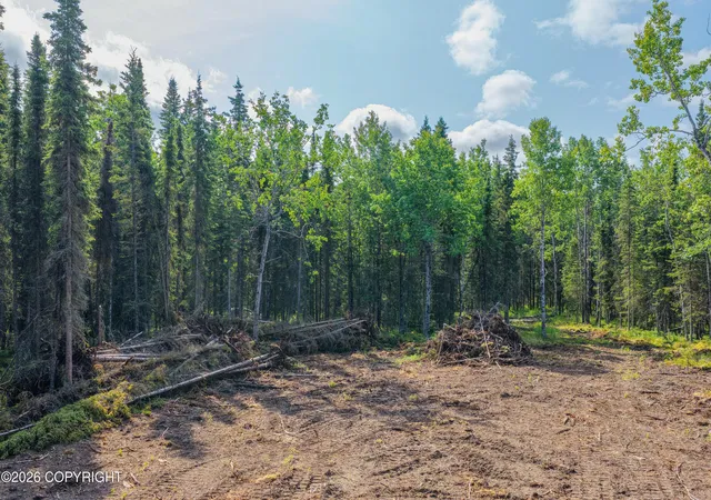 Photo 5 of Land for sale at 50222 Byington Rd, Kasilof, AK 99610 | MLS# 26-11121 | Listing updated on 2026-08-31
