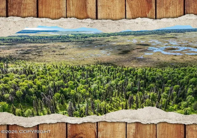Photo 1 of Land for sale at Tr A B1 Kasilof Wilderness Sub, Kasilof, AK 99610 | MLS# 26-10317 | Listing updated on 2026-08-19