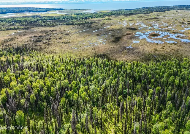Photo 2 of Land for sale at Tr A B1 Kasilof Wilderness Sub, Kasilof, AK 99610 | MLS# 26-10317 | Listing updated on 2026-08-19