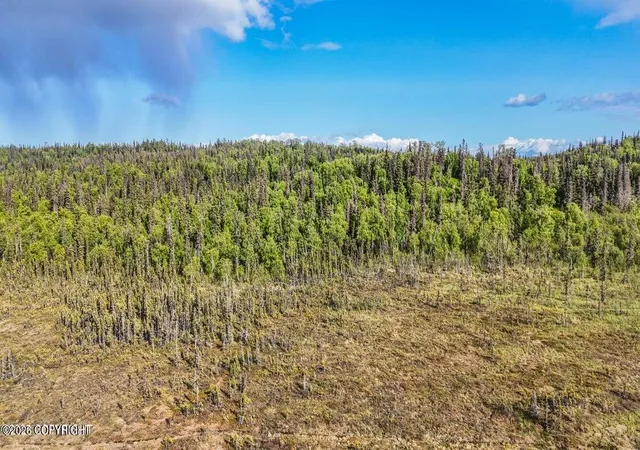 Photo 8 of Land for sale at Tr A B1 Kasilof Wilderness Sub, Kasilof, AK 99610 | MLS# 26-10317 | Listing updated on 2026-08-19
