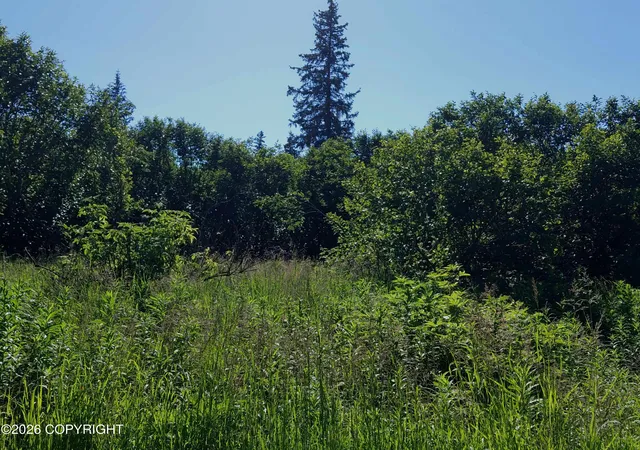 Photo 16 of Sale Pending at L 22 Kachemak Bay, Homer, AK 99603 | MLS# 26-10324 | Listing updated on 2026-08-18