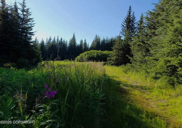 Photo 2 of Sale Pending at L 22 Kachemak Bay, Homer, AK 99603 | MLS# 26-10324 | Listing updated on 2026-08-18