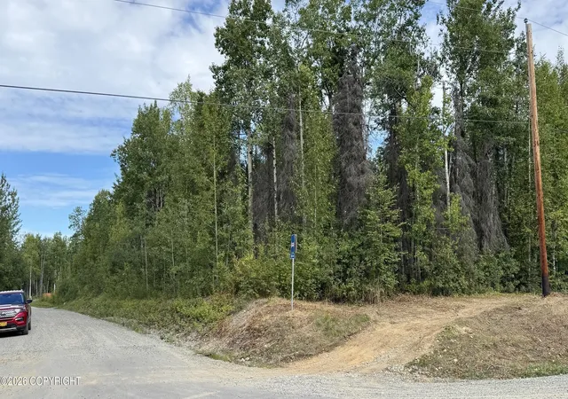 Photo 1 of Sale Pending at 000 E Caswell Lakes Rd, Willow, AK 99688 | MLS# 26-10396 | Listing updated on 2026-10-06