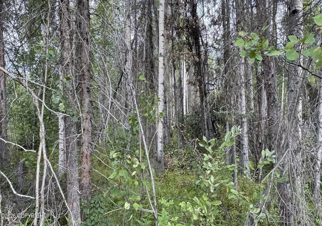 Photo 2 of Sale Pending at 000 E Caswell Lakes Rd, Willow, AK 99688 | MLS# 26-10396 | Listing updated on 2026-10-06