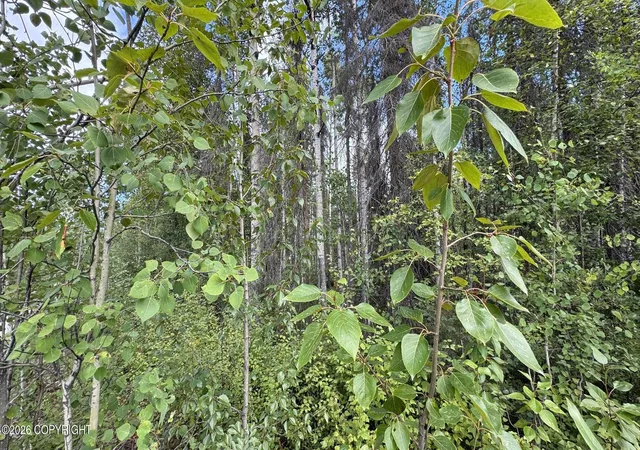 Photo 3 of Sale Pending at 000 E Caswell Lakes Rd, Willow, AK 99688 | MLS# 26-10396 | Listing updated on 2026-10-06
