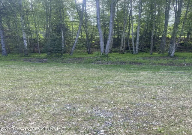 Photo 3 of Land for sale at 20001 Scenic Dr, Chugiak, AK 99567 | MLS# 26-10544 | Listing updated on 2026-09-08