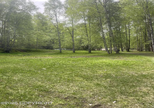 Photo 3 of Land for sale at 20001 Scenic Dr, Chugiak, AK 99567 | MLS# 26-10544 | Listing updated on 2026-09-08