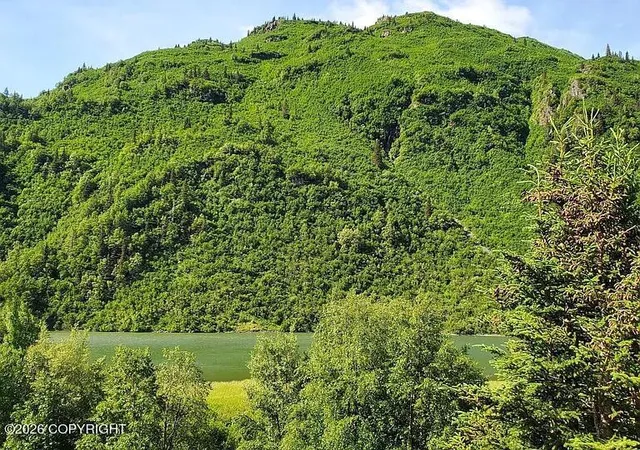 Photo 3 of Land for sale at Remote No St #NO, Valdez, AK 99686 | MLS# 26-10450 | Listing updated on 2026-08-27