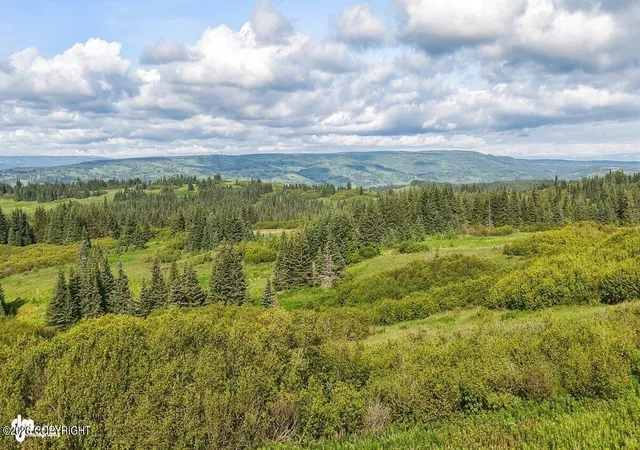 Photo 2 of Land for sale at 38508 Mossberg Dr, Homer, AK 99603 | MLS# 26-10449 | Listing updated on 2026-09-03