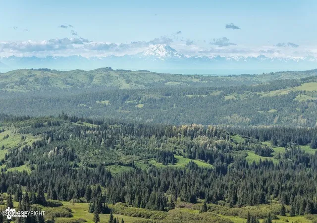 Photo 3 of Land for sale at 38508 Mossberg Dr, Homer, AK 99603 | MLS# 26-10449 | Listing updated on 2026-10-03