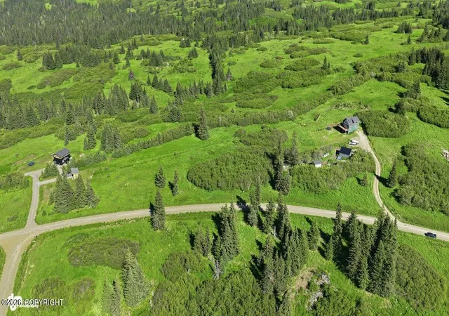 Photo 4 of Land for sale at 38508 Mossberg Dr, Homer, AK 99603 | MLS# 26-10449 | Listing updated on 2026-10-03