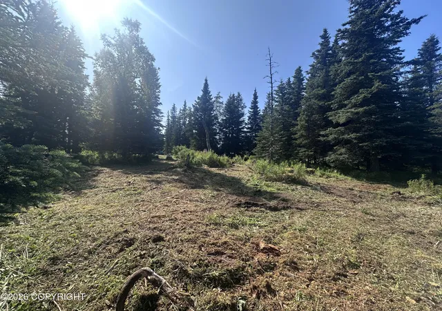 Photo 1 of Land for sale at 69272 Royce Dr, Anchor Point, AK 99556 | MLS# 26-10556 | Listing updated on 2026-08-21