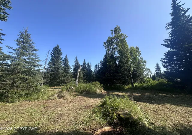 Photo 2 of Land for sale at 69272 Royce Dr, Anchor Point, AK 99556 | MLS# 26-10556 | Listing updated on 2026-08-21