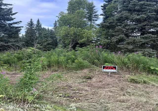 Photo 3 of Land for sale at 69272 Royce Dr, Anchor Point, AK 99556 | MLS# 26-10556 | Listing updated on 2026-08-21