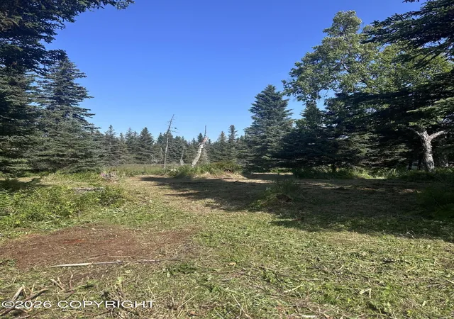 Photo 3 of Land for sale at 69272 Royce Dr, Anchor Point, AK 99556 | MLS# 26-10556 | Listing updated on 2026-08-21