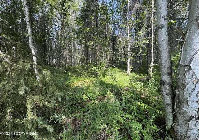 Photo 5 of Land for sale at 12650 W King Arthur Dr, Wasilla, AK 99623 | MLS# 26-10644 | Listing updated on 2026-08-26