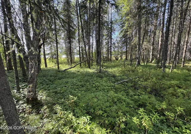 Photo 6 of Land for sale at 12650 W King Arthur Dr, Wasilla, AK 99623 | MLS# 26-10644 | Listing updated on 2026-08-26
