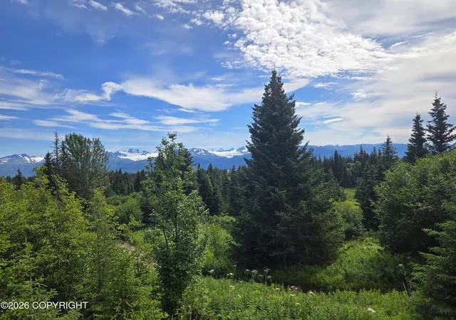 Photo 4 of Single family home for sale at 32530 Linda Ln, Homer, AK 99603 | MLS# 26-10900 | Listing updated on 2026-08-26