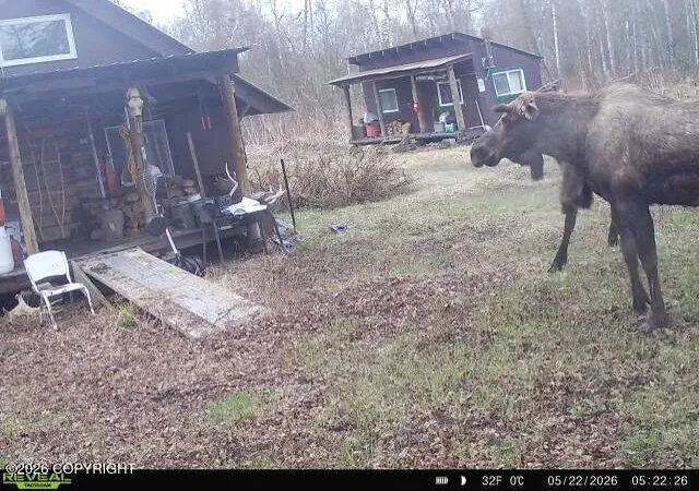 Photo 2 of Single family home for sale at B001 No Road, Talkeetna, AK 99676 | MLS# 26-10787 | Listing updated on 2026-09-14