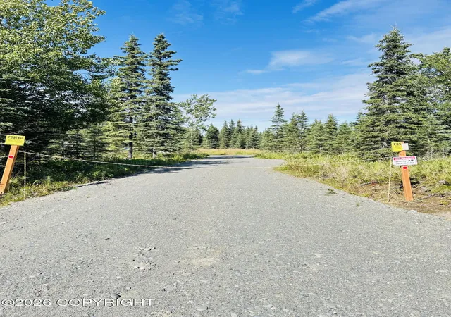 Photo 2 of Land for sale at 53558 St Elias Ave, Kasilof, AK 99610 | MLS# 26-10795 | Listing updated on 2026-08-31
