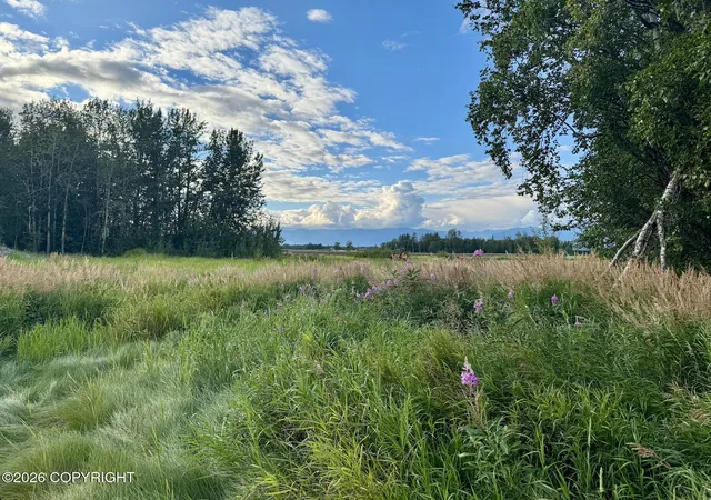 Photo 4 of Land for sale at 1486 N River Rock Cir, Palmer, AK 99645 | MLS# 26-10866 | Listing updated on 2026-08-25