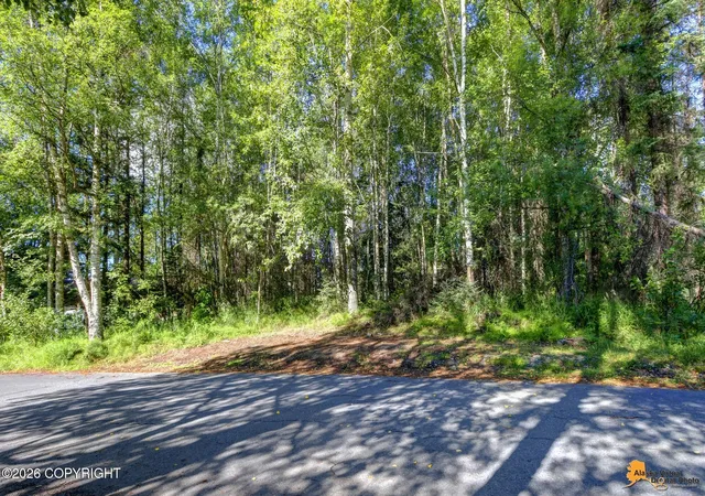 Photo 21 of Land for sale at 000 Branche Cir, Anchorage, AK 99518 | MLS# 26-10847 | Listing updated on 2026-08-24
