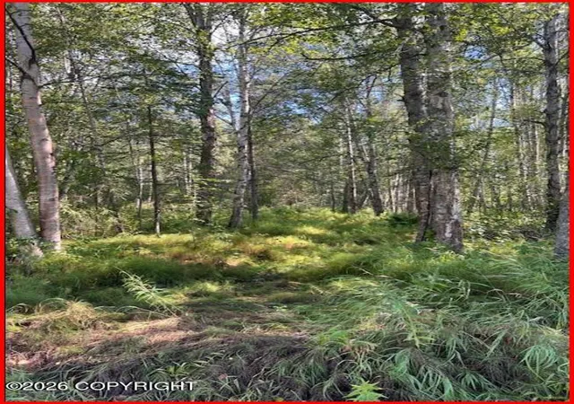 Photo 1 of Land for sale at 9865 S Twilight Dr, Wasilla, AK 99654 | MLS# 26-11026 | Listing updated on 2026-09-04