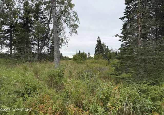 Land for sale at 1872 Beaver Loop Rd, Kenai, AK 99611 | MLS# 26-11007