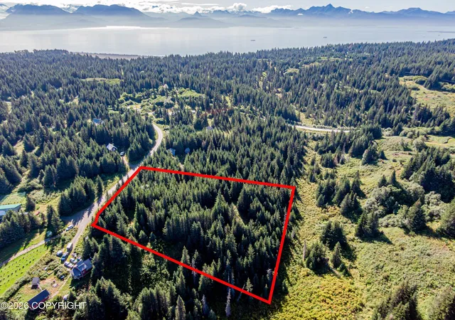Land for sale at 57875 Blueberry Glen Ct, Homer, AK 99603 | MLS# 26-11196