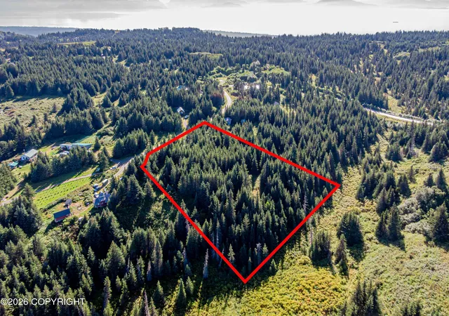 Photo 1 of Land for sale at 57875 Blueberry Glen Ct, Homer, AK 99603 | MLS# 26-11196 | Listing updated on 2026-09-01