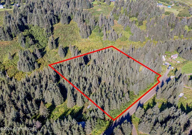 Photo 2 of Land for sale at 57875 Blueberry Glen Ct, Homer, AK 99603 | MLS# 26-11196 | Listing updated on 2026-09-01