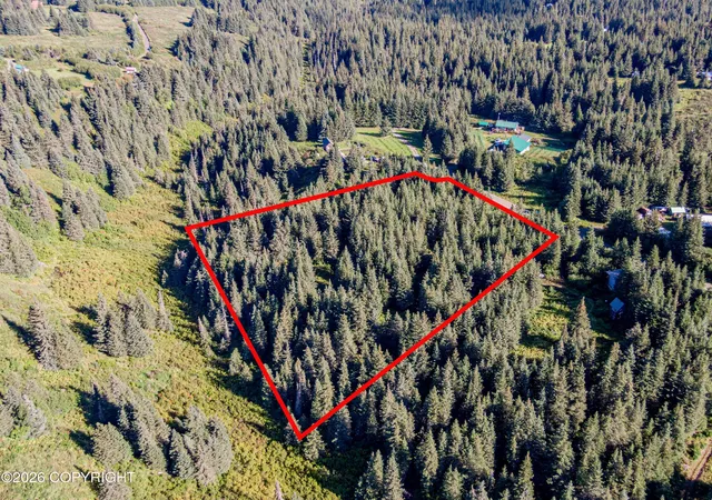 Photo 3 of Land for sale at 57875 Blueberry Glen Ct, Homer, AK 99603 | MLS# 26-11196 | Listing updated on 2026-09-01