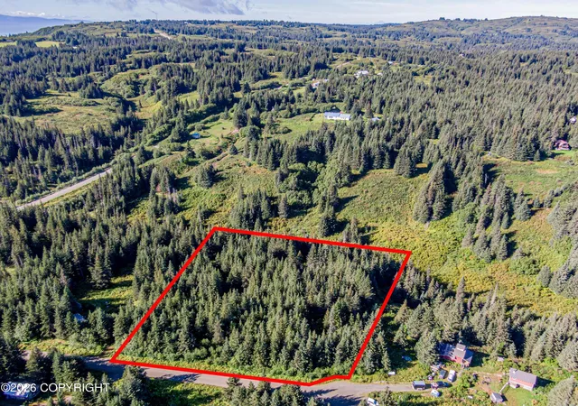 Photo 4 of Land for sale at 57875 Blueberry Glen Ct, Homer, AK 99603 | MLS# 26-11196 | Listing updated on 2026-09-01