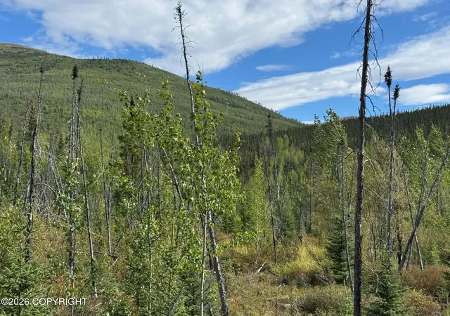 Photo 3 of Sale Pending at Nhn North Fork Chena, Fairbanks, AK 99712 | MLS# 26-10988 | Listing updated on 2026-10-15