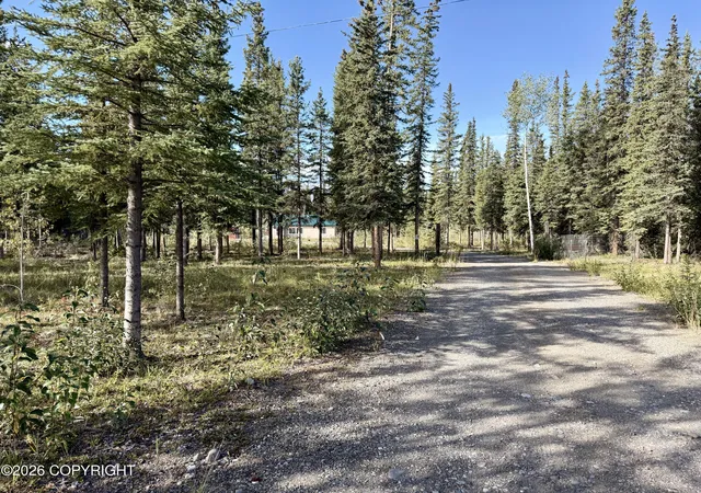 Photo 50 of Single family home for sale at L5b7 Blackburn St, Tok, AK 99780 | MLS# 26-11189 | Listing updated on 2026-09-03