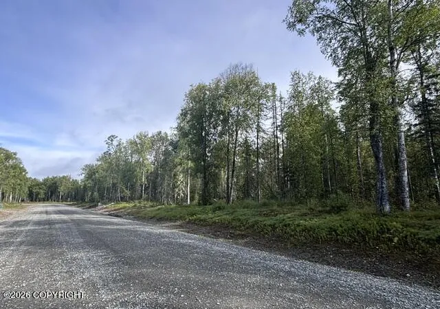 Land for sale at L6 S Spatterdock St, Talkeetna, AK 99676 | MLS# 26-11208
