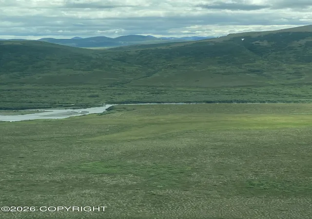 Photo 3 of Land for sale at L1 Goodnews River Valley, Goodnews Bay, AK 99589 | MLS# 26-11214 | Listing updated on 2026-09-05