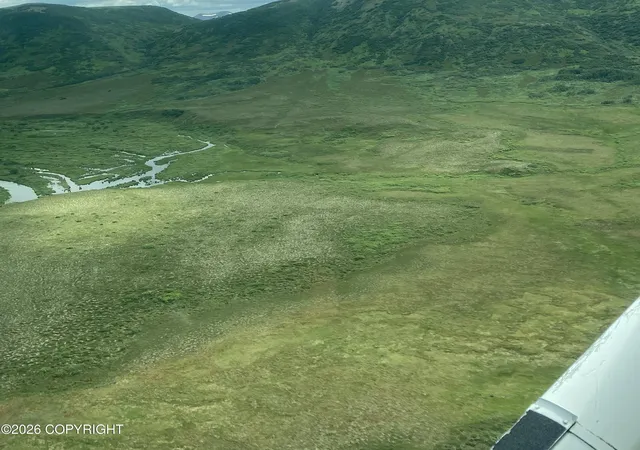 Photo 4 of Land for sale at L1 Goodnews River Valley, Goodnews Bay, AK 99589 | MLS# 26-11214 | Listing updated on 2026-09-05