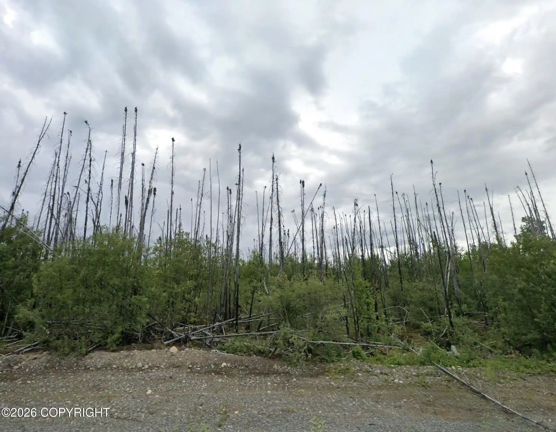 Photo 1 of Land for sale at 25774 W Serenity Dr, Willow, AK 99688 | MLS# 26-12303 | Listing updated on 2026-10-15