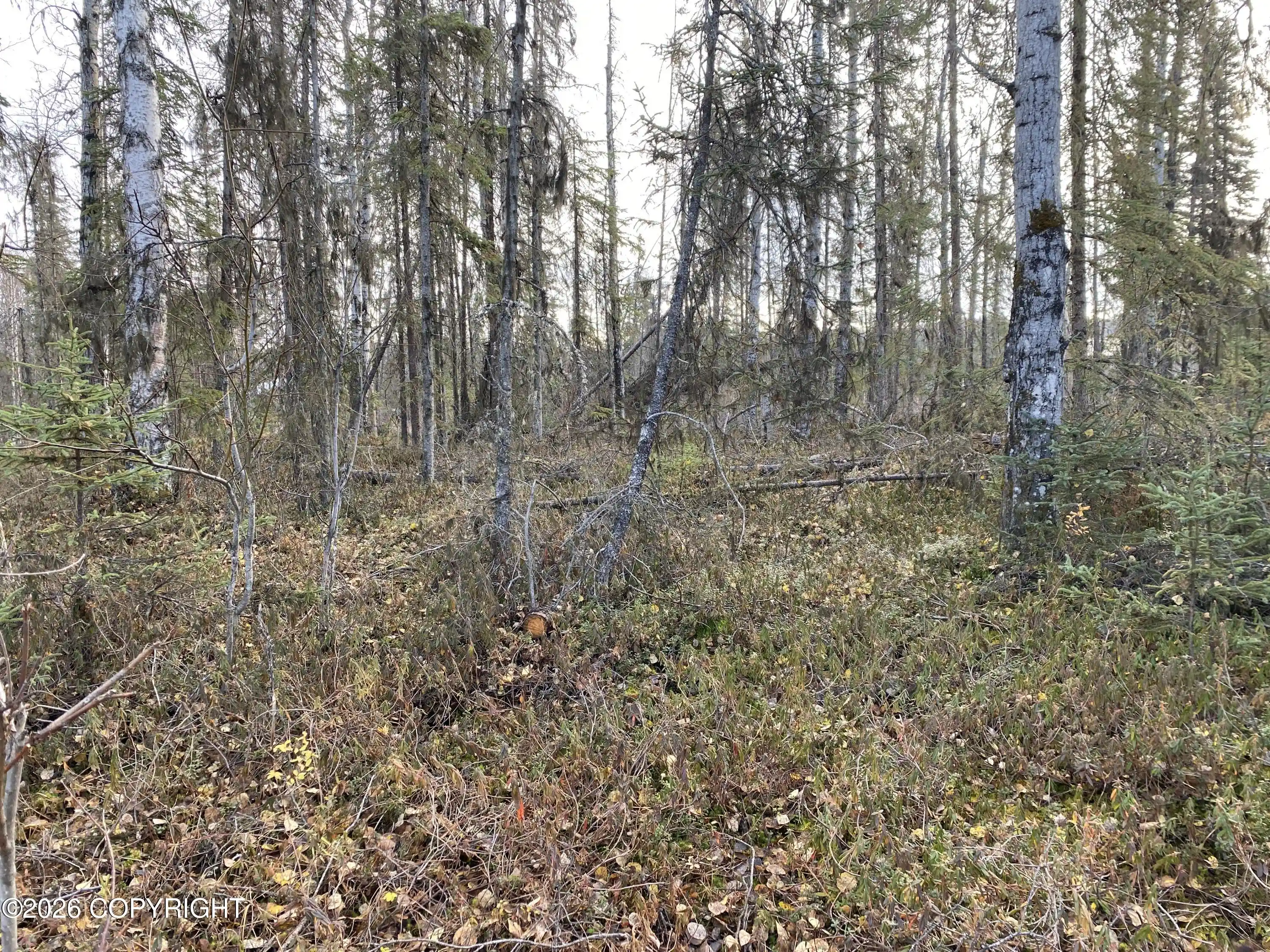 Photo 1 of Land for sale at 4084 N Longbow Cir, Wasilla, AK 99623 | MLS# 26-13208 | Listing updated on 2026-10-19