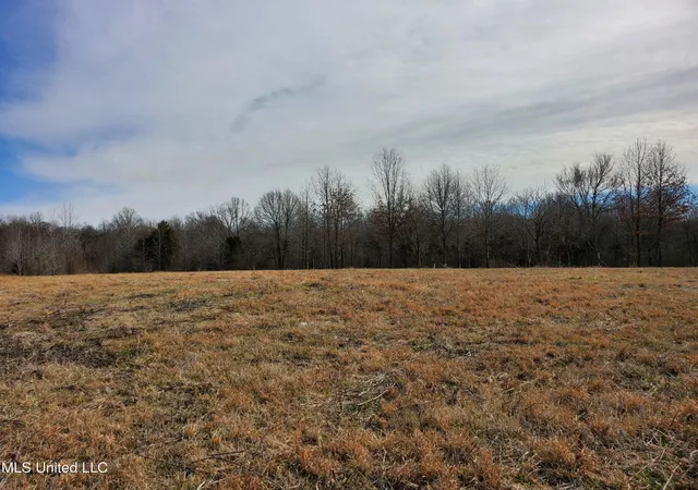 Photo 1 of Land for sale at 000 Woolfolk Road, Senatobia, MS 38668 | MLS# 2337204 | Listing updated on 2026-03-30