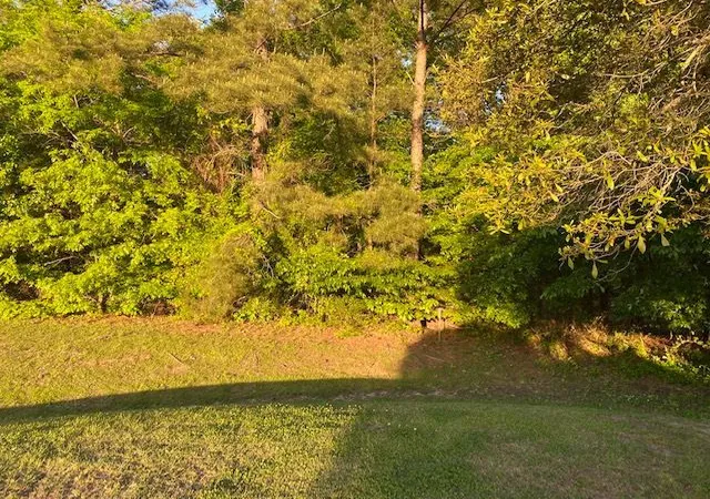 1st image of 001 Mcdonald Ln, Madison, MS 39110 | MLS# 1339846
