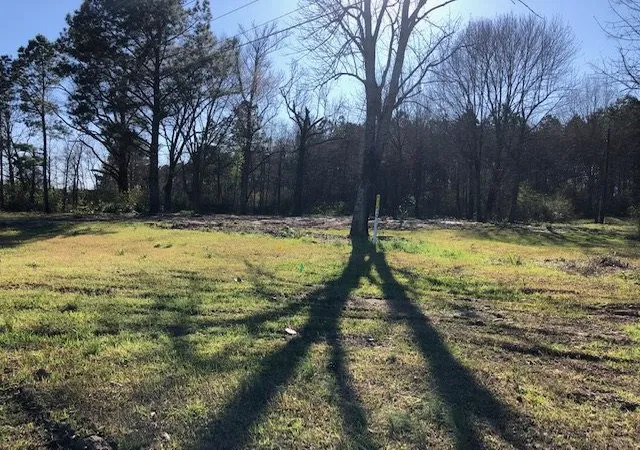 2nd image of Hwy 35, Forest, MS 39074 | MLS# 1328634
