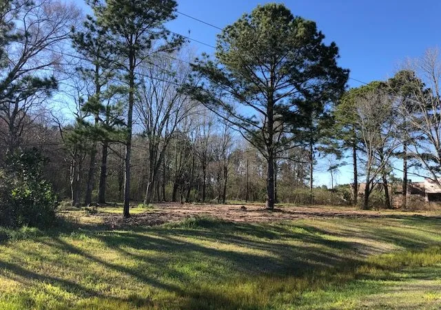 3rd image of Hwy 35, Forest, MS 39074 | MLS# 1328634