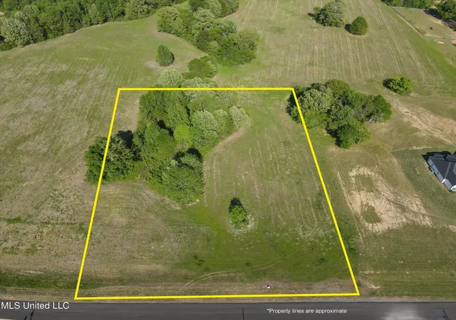 Homes for sale in Senatobia, MS | 2 Como Trace Dr, Senatobia, MS 38668 | MLS# 4007473