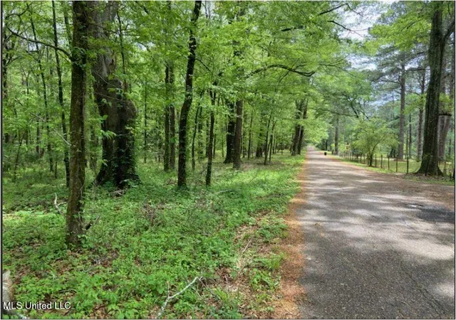 Photo 1 of Land for sale at 0 N Lake Catherin / Lakeshore Rd Dr, Jackson, MS 39212 | MLS# 4015076 | Listing updated on 2026-08-27