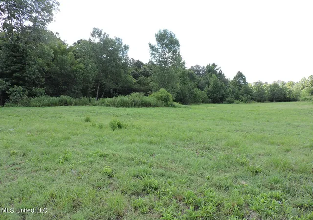 Photo 2 of Land for sale at 5465 Goodman Rd, Olive Branch, MS 38654 | MLS# 4022481 | Listing updated on 2026-07-06