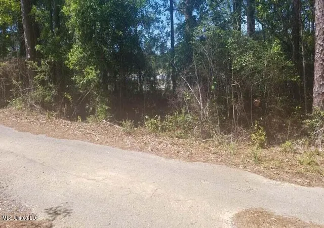 Photo 4 of Land for sale at 0 Hwy 49, Gulfport, MS 39503 | MLS# 4043063 | Listing updated on 2026-09-17